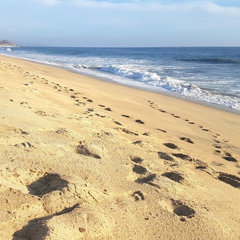 Playas en Baja California